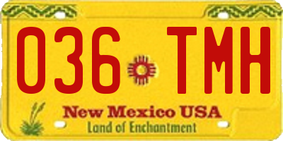 NM license plate 036TMH