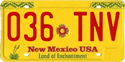 NM license plate 036TNV