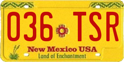 NM license plate 036TSR