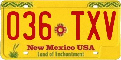 NM license plate 036TXV