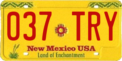 NM license plate 037TRY