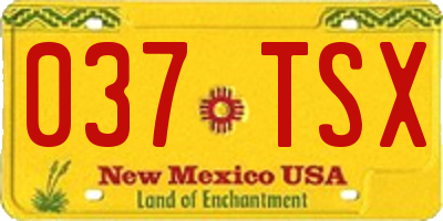 NM license plate 037TSX