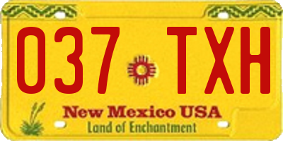 NM license plate 037TXH