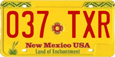 NM license plate 037TXR