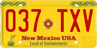 NM license plate 037TXV