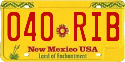 NM license plate 040RIB