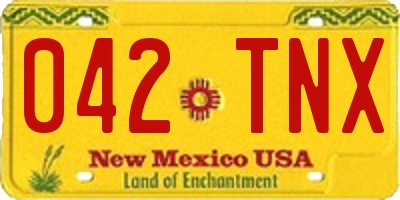 NM license plate 042TNX