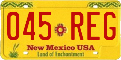 NM license plate 045REG