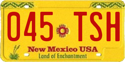 NM license plate 045TSH
