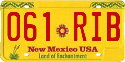 NM license plate 061RIB
