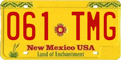 NM license plate 061TMG