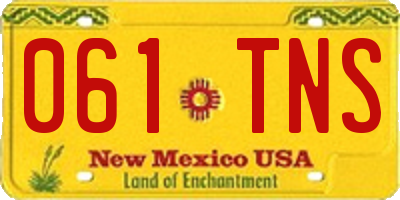 NM license plate 061TNS