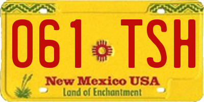 NM license plate 061TSH