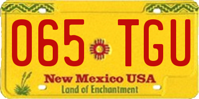 NM license plate 065TGU