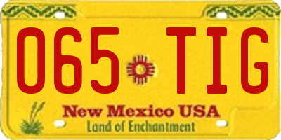 NM license plate 065TIG