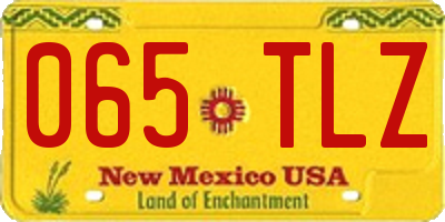 NM license plate 065TLZ