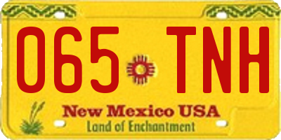NM license plate 065TNH