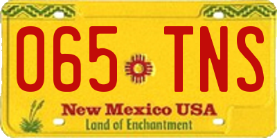 NM license plate 065TNS