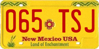 NM license plate 065TSJ