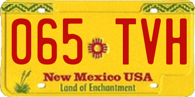 NM license plate 065TVH