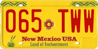 NM license plate 065TWW