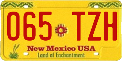 NM license plate 065TZH