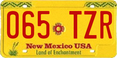 NM license plate 065TZR