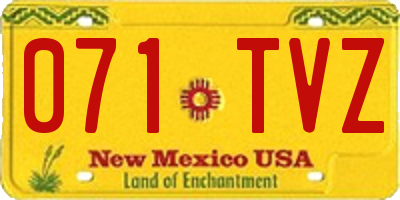 NM license plate 071TVZ