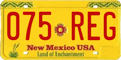 NM license plate 075REG
