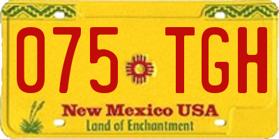NM license plate 075TGH