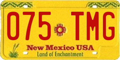 NM license plate 075TMG