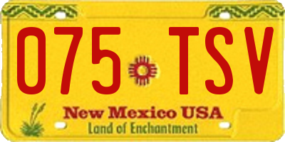 NM license plate 075TSV