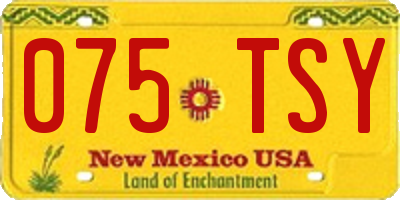 NM license plate 075TSY
