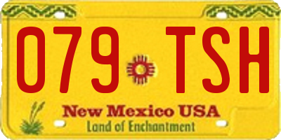 NM license plate 079TSH