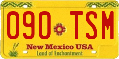 NM license plate 090TSM