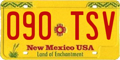 NM license plate 090TSV
