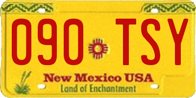 NM license plate 090TSY