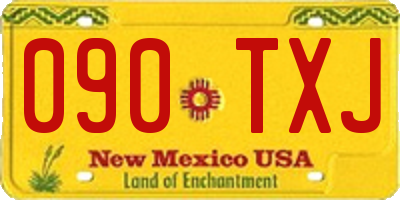NM license plate 090TXJ