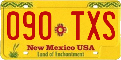 NM license plate 090TXS