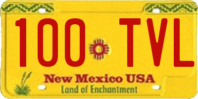 NM license plate 100TVL