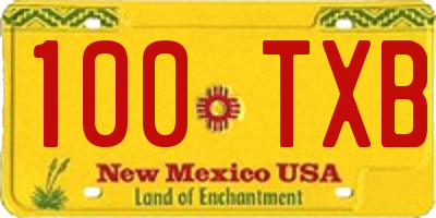 NM license plate 100TXB