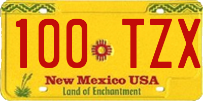 NM license plate 100TZX