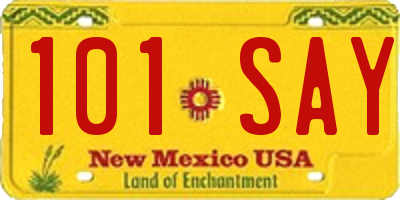 NM license plate 101SAY