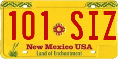 NM license plate 101SIZ