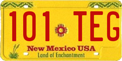 NM license plate 101TEG