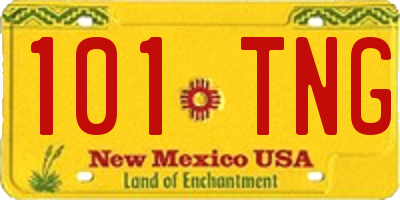 NM license plate 101TNG