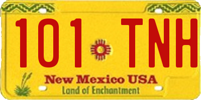 NM license plate 101TNH