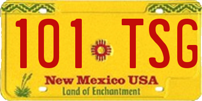 NM license plate 101TSG