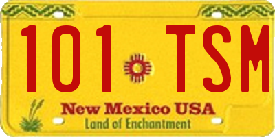 NM license plate 101TSM