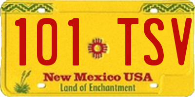 NM license plate 101TSV